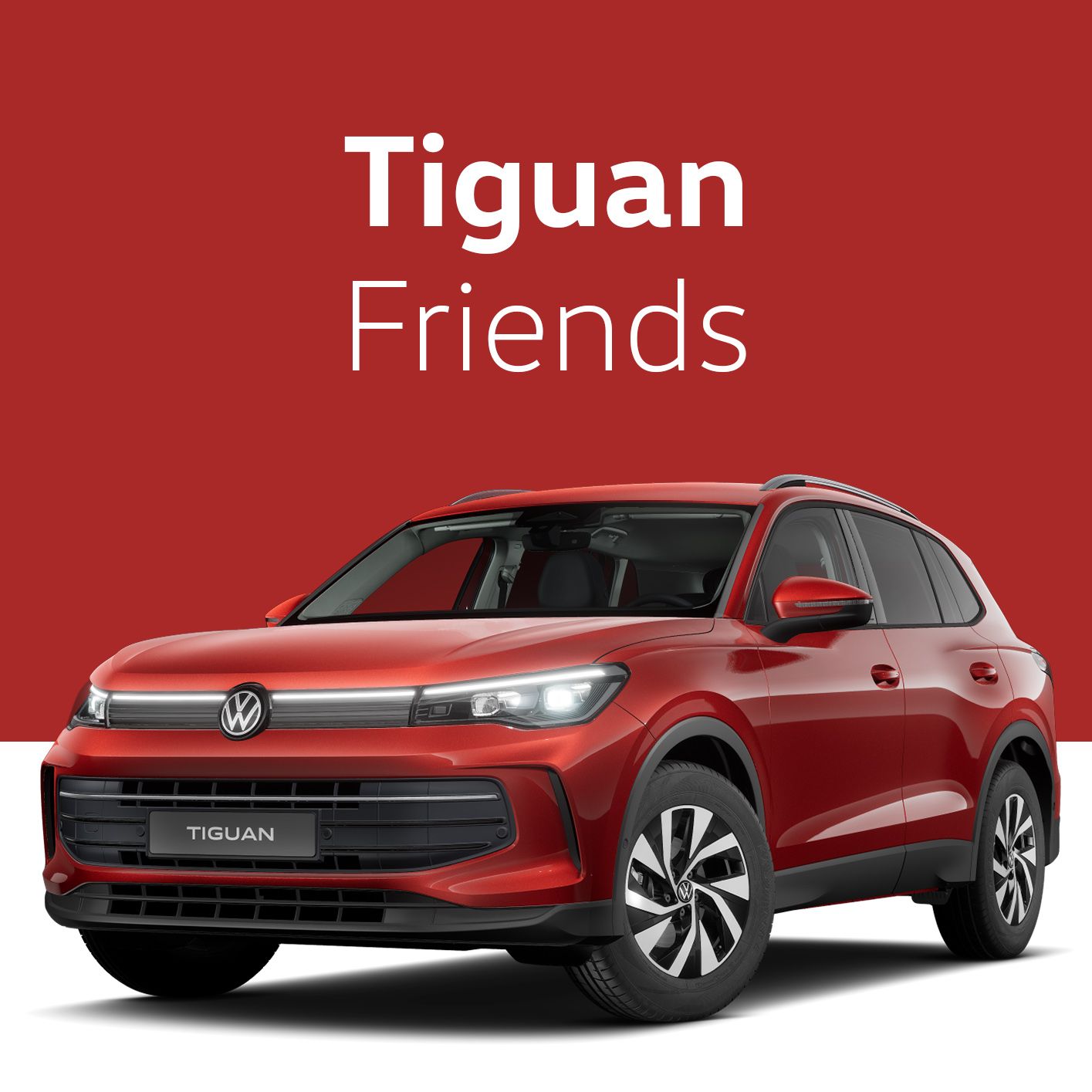 Tiguan Friends